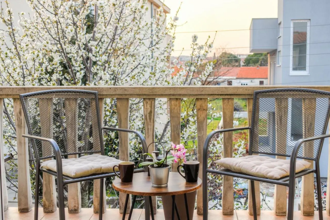 Apartmani Matko Zadar 0*,