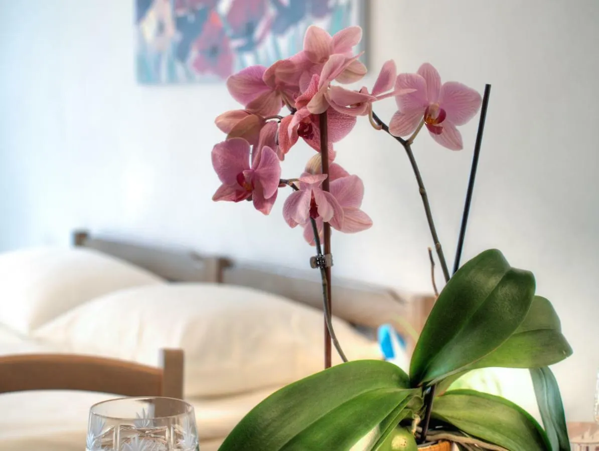 Apartment Apartmani Matko Zadar